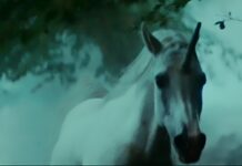 Believe in unicorns