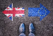 The EU workforce in a post-Brexit UK