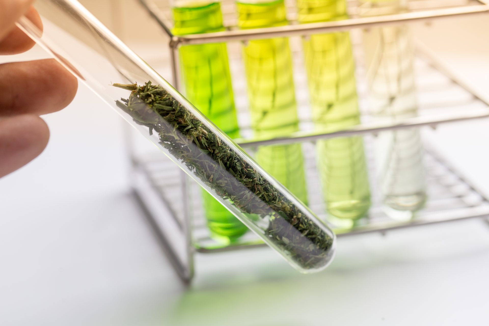 Curaleaf Inhalor Curaleaf launches certified cannabis inhalation device in UK ...