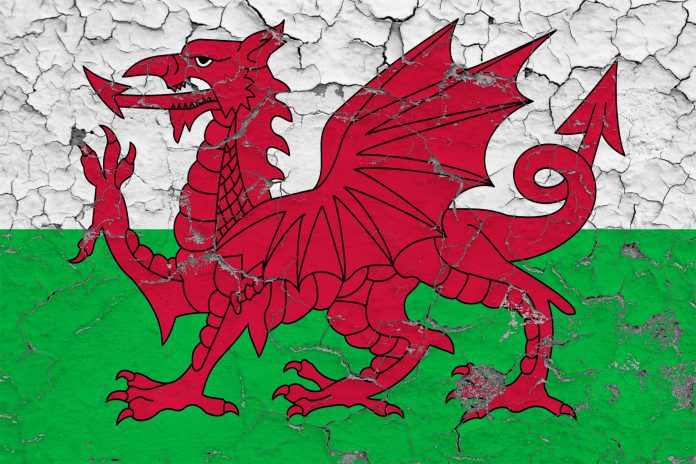 Flag of Wales painted on cracked dirty wall. National pattern on vintage style surface.