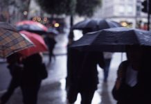 ‘Perfect storm’ plunges BHSF into deficit