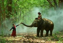 Call to repeal Cambodia’s criminalisation of surrogates