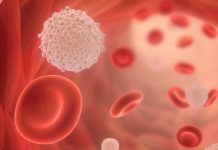 Rutherford Health begins coronavirus antibody testing for staff and patients