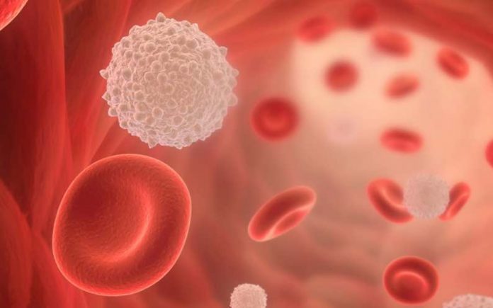 Blood cells eds