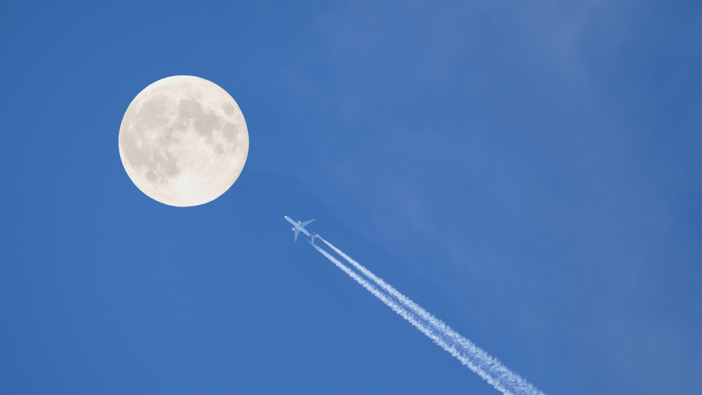 Shooting for the moon LaingBuisson News