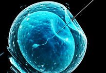 Covid-19 pandemic exacerbates decline in NHS-funded IVF