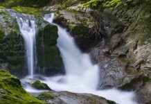 Abkhazia is the most popular destination for Russians