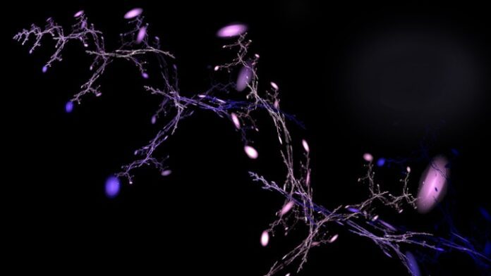 DNA-under-the-microscope_2