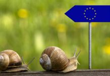In depth report on European cross border healthcare