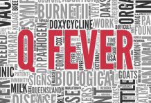 Six medical tourists develop Q fever after stem cell therapy in Germany