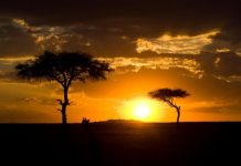 Kenya medical tourism depends on overseas investors