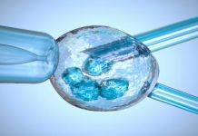 Global healthcare insurance for stem cell treatment