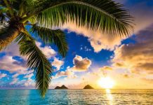 What should Hawaii promote?