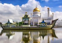 Low volume of foreign patients to Brunei per year