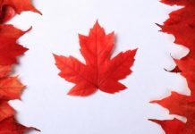 Wait times push more Canadians abroad for treatment