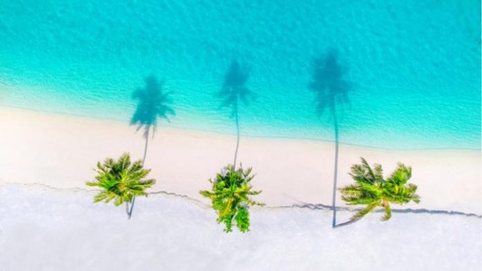 caribbean