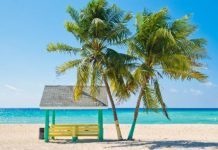 Potential in small clinics for Caymans