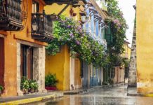 50,000 foreign patients visit Columbia?