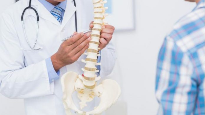 doctor-showing-anatomical-spine-to-his-patient-picture-id480125956