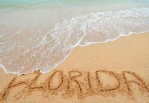State medical tourism proposal