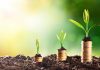 Contract wins help grow income at Affinity Trust