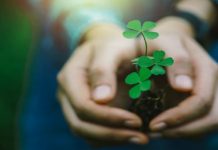 Cross-border healthcare promise for Northern Irish