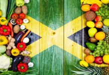 Healthcare accreditation, investment and Jamaican government support is lacking