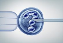 Plans for free IVF for Hungarians