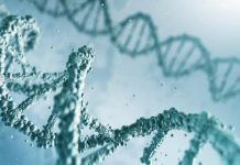Costa Rica looks to be stem cell treatment destination