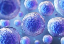 Injuries from stem cell therapy widespread