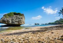 Barbados is the latest Caribbean country to launch an online investment guide