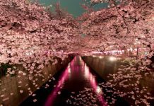 Japan’s tourism bodies promote wellness tourism