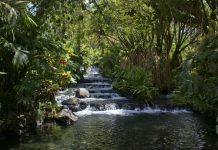Growing inbound health tourism to Costa Rica