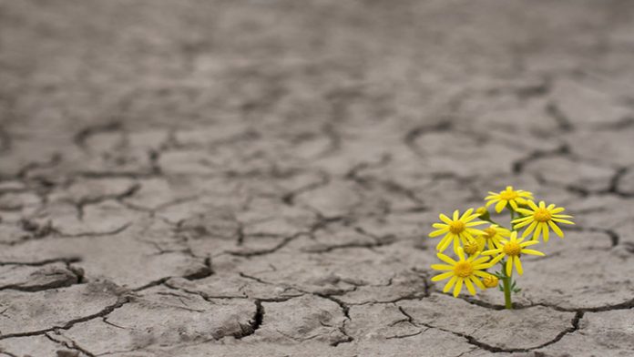 Life in extreme conditions