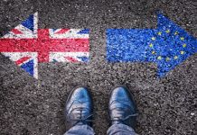 Six-month health cover for British nationals in the EU?