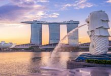 Singapore… Asia’s advanced medical care destination?