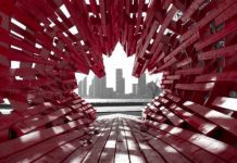 Is the scale of Canada’s birth tourism exaggerated?
