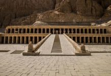 Developing cardiac care in Egypt