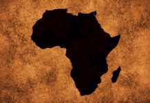 South African health minister criticises medical tourism