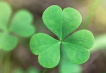 Free eye surgery in Holland for Irish patients