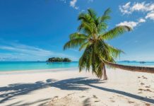 No new strategies for Jamaica