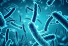 More than just gut instinct: the microbiome in medicine