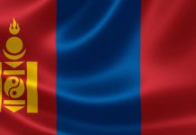 9,600 Mongolians visited Seoul as medical tourists