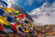 The Nepal government ceases funding for treatment abroad