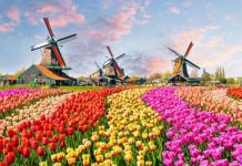 Netherlands wants less tourists
