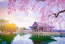 Call for crackdown on illegal medical tourism brokers in South Korea
