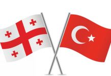 Georgia region endorses Turkish hospital