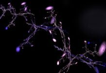 First clinic to legally offer stem cell treatment after new legislation
