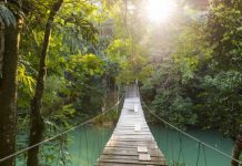 Expanding wellness sector in Belize
