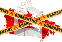PCR tests required for all arrivals to Canada